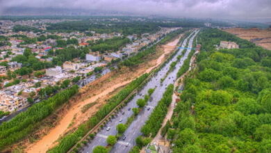 دبیرخانه «برای باغات شیراز» راه‌اندازی شد