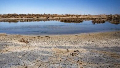 کمک به احیاء تالاب انزلی با صرفه‌جویی در مصرف گاز