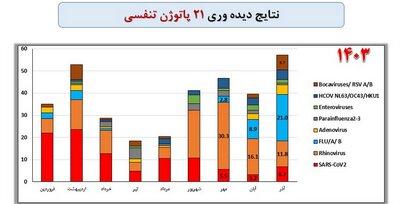 راس ویروس‌های در گردش؛آنفولانزا