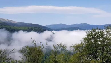 زمستان کجای گیلان بریم ؟ | راهنمای سفر به بهشت گیلان : بهترین جاهای دیدنی املش را بشناسید | جنگل املش کجاست ؟