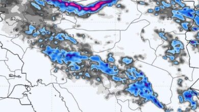 هواشناسی ایران ۲۸ دی؛ هشدار بارندگی و باد شدید در ۱۵ استان