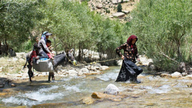 ضرورت توانمندسازی زنان روستا در حفاظت از منابع طبیعی