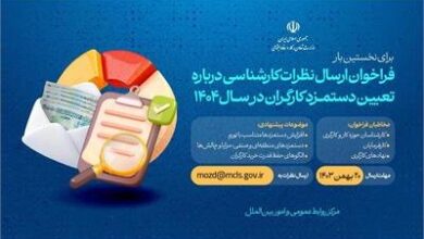 دعوت وزیر تعاون، کار و رفاه اجتماعی برای ارائه پیشنهاد درباره تعیین دستمزد کارگران در سال ۱۴۰۴