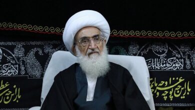 آیت الله نوری همدانی عزادار شد