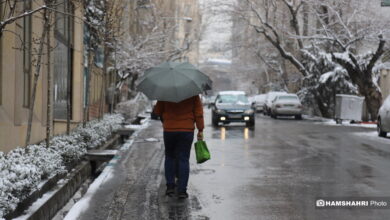 دما در این مناطق به ۱۲ درجه زیر  می‌رسد | هشدار بارش برف برای این استان ‌ها 