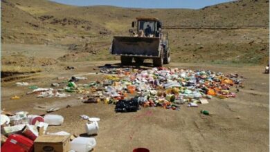 ۱۳ تن مواد غذایی فاسد و غیرقابل مصرف در کردستان معدوم‌سازی شد