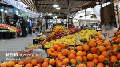 عرضه مستقیم میوه شب عید در مشهد آغاز شد