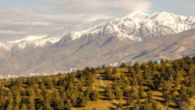 ۲۵۰۰ هکتار از کمربند سبز تهران به بهره‌برداری رسید