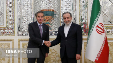 دیدار مدیر کل آژانس بین‌المللی انرژی اتمی با وزیر امور خارجه