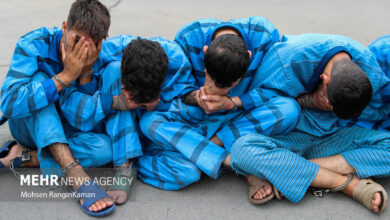 ۷۶ فقره سرقت در مازندران کشف شد