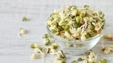جوانه ماش؛ بمب ویتامین و پروتئین