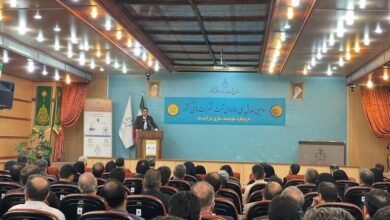 شناسایی ۸۵۰ هزار شرکت‌ صوری در کشور