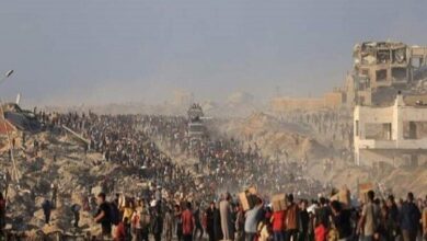 گزارشگر سازمان ملل: طرح آمریکا و اسرائیل در غزه جنایتکارانه است