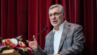 ظفرقندی: موفقیت‌های نظام سلامت با توسعه داروسازی مرتبط است