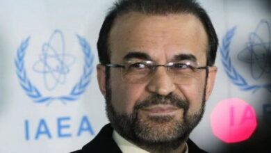 نجفی:۷۲ درصد از  فعالیت‌های راستی‌آزمایی آژانس در ایران انجام شده است
