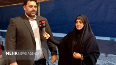 فعالیت ۳۸ اتحادیه صنفی در ری؛رتبه نخست استان تهران در بازرسی آرد
