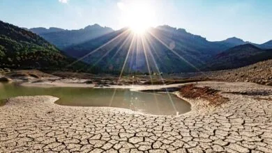 نیمی از کشور در محاصره خشکسالی و نیمی در شرایط ترسالی نیمی از کشور در محاصره خشکسالی و نیمی در شرایط ترسالی