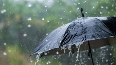 آماده‌باش برای کاهش غافلگیرکننده دما | پاییز زودتر از موع…