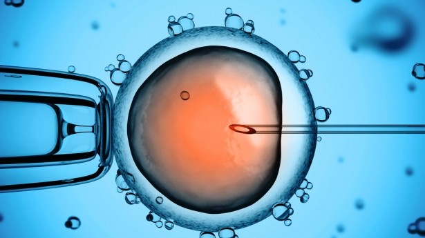 کمبود این ویتامین شانس موفقیت IVF را کم می‌کند؟