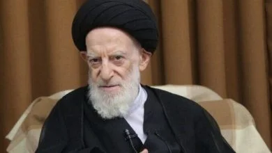 فوری؛ درگذشت آیت‌الله‌العظمی شبیری زنجانی تایید شد