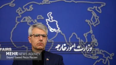 بقائی: اقدامات تجاوزکارانه آمریکا عامل ناامنی در تنگه هرمز است