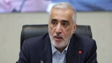 پیرصالحی: تجربه‌های موفق دارویی باید شناسایی شود
