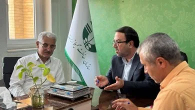 مقابله با زنده‌گیری پرندگان شکاری در بوشهر؛ لزوم هماهنگی دستگاه‌ها